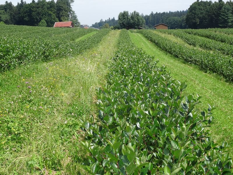 entreprise Odoo Valais