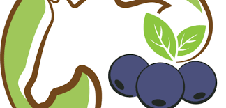 entreprise Odoo Valais